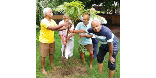 राष्ट्रकवि मैथिलीशरण गुप्त की जयंती पर पर्यावरण भारती द्वारा पौधारोपण, औषधीय वृक्ष आंवला रोपा गया